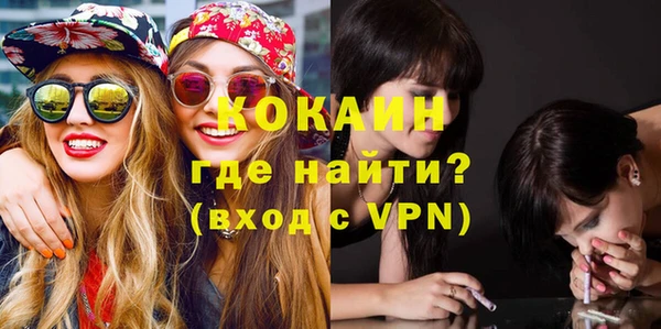 Альфа ПВП Шали