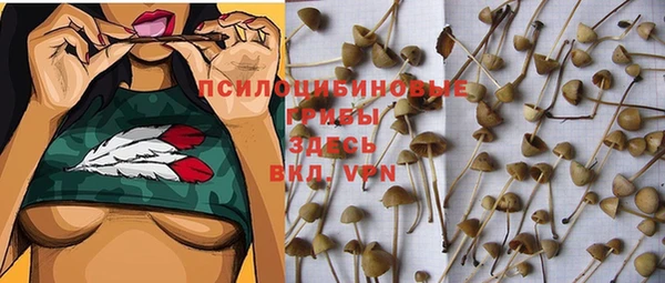 таблы Липки