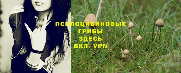 таблы Лиски