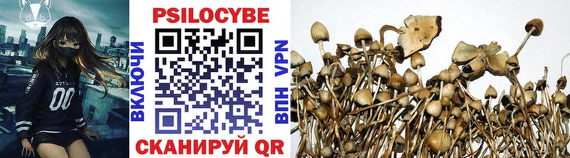 Купить  Калачинск  Галлюциногенные грибы Psilocybe 
